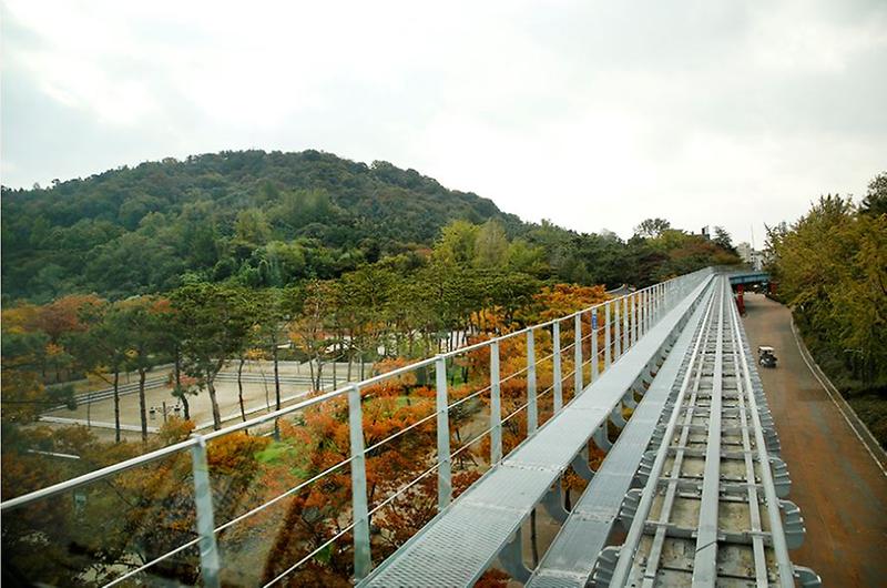 월미바다열차 타고 본 가을의 월미공원 사진