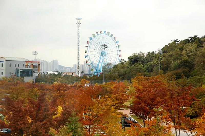 월미바다열차에서 본 가을 풍경 사진